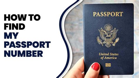how to find my passport number online.